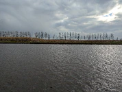 Foto geschoten met de Google Pixel 7a