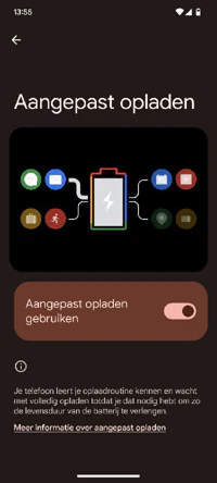 Screenshot Adaptive Charging