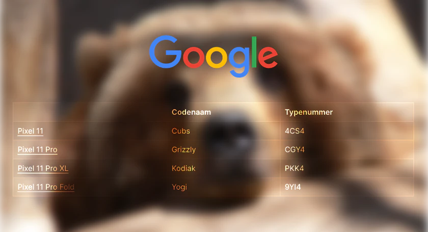 Google pixel 11 leak bear reference