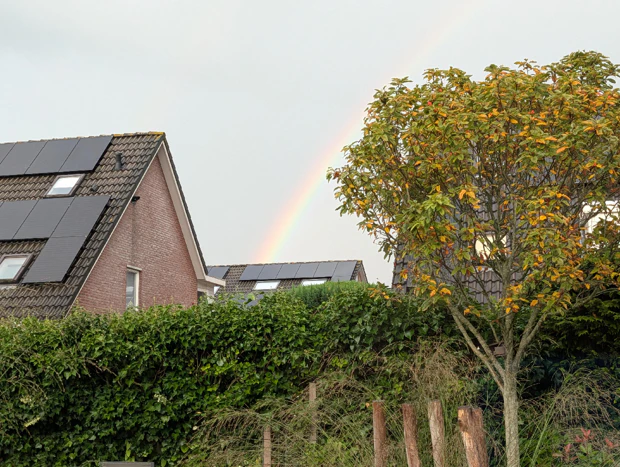 Google Pixel 10 Pro Camera Sample Rainbow