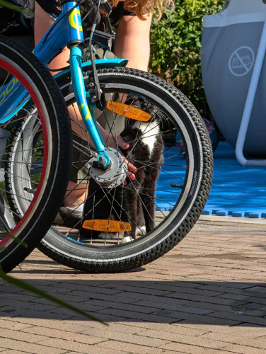 Google Pixel 10 Pro Camera Sample Rainbow