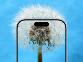 Apple Iphone 17e Expected To Get Square Selfiecamera