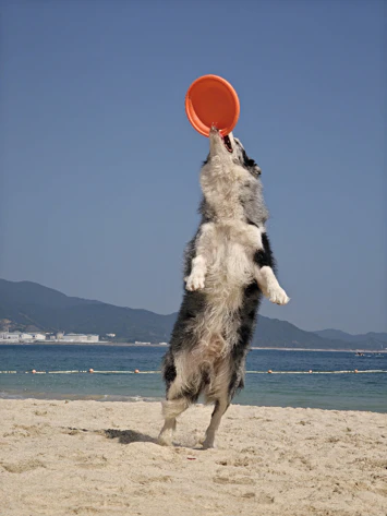 Oppo Find N5 Camera Sample Macro