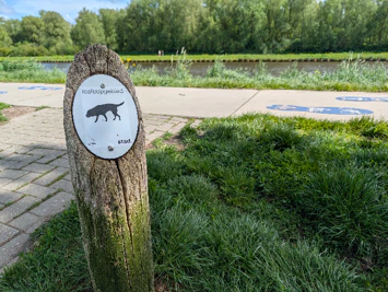 Voorbeeld camerafoto Google Pixel 10 Pro - losloopgebied