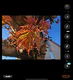 Screenshot Oppo Find N6 camera-app en galerij