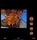 Screenshot Oppo Find N6 camera-app en galerij