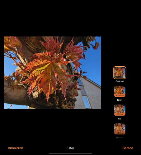 Screenshot Oppo Find N6 camera-app en galerij