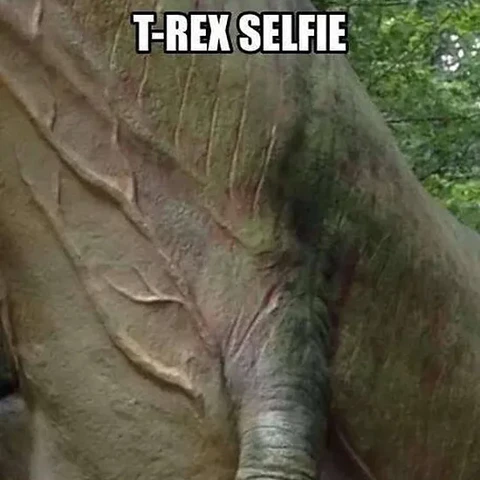 #pictureoftheday