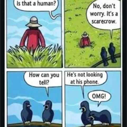#pictureoftheday