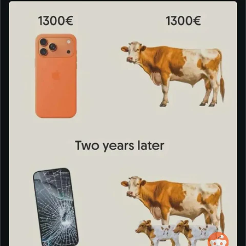 #plaatjevandedag