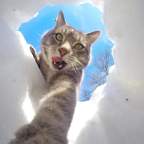 #pictureoftheday