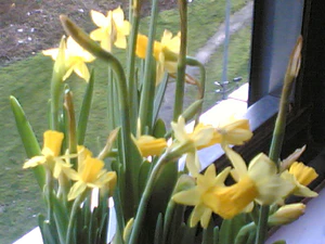 1152x864 binnen zoom