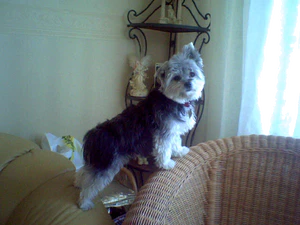 1152x864 extrahoog binnen 02