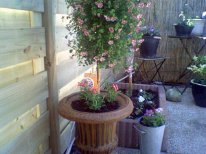 1152x864 extrahoog buiten 03