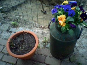 1152x864 helderheid 1