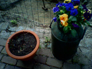 1152x864 helderheid 3