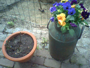 1152x864 helderheid Plus1