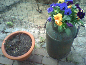 1152x864 helderheid Plus2