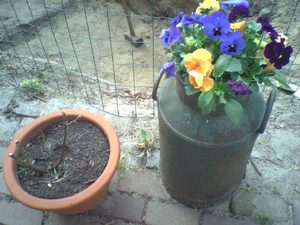 1152x864 helderheid Plus3