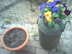 1152x864 helderheid Plus4