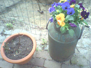 1152x864 helderheid Plus5