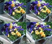 1152x864 mozaiek 2x2