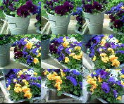 1152x864 mozaiek 3x3