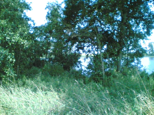 1152x864 nachtmodus normaal buiten 01