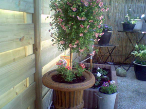 1152x864 normaal buiten 02