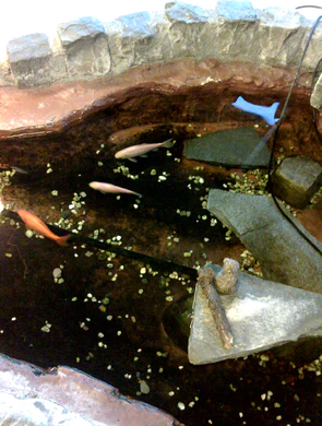 1200x1600 diverse 09