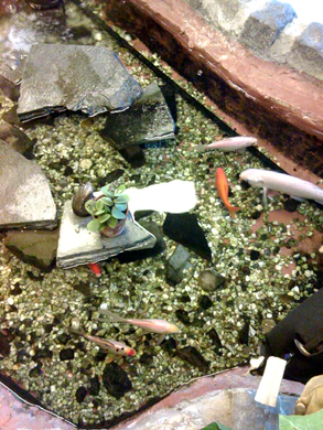 1200x1600 diverse 10