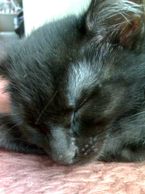 1200x1600 diverse 19