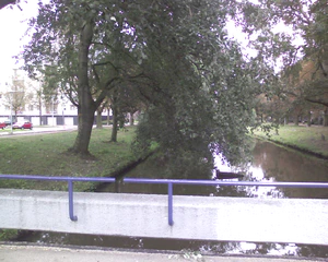 1280x1024 b right side ness Plus1