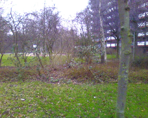 1280x1024 diverse 02