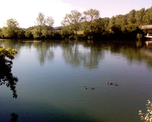 1280x1024 diverse 03