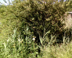 1280x1024 diverse 05