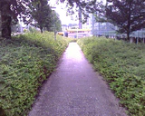 1280x1024 diverse 06