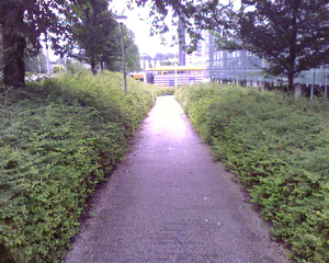 1280x1024 diverse 06