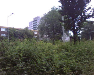 1280x1024 diverse 07