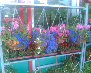 1280x1024 diverse 08