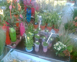 1280x1024 diverse 09