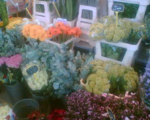 1280x1024 diverse 10