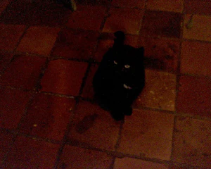 1280x1024 diverse 10