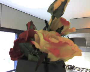 1280x1024 diverse 11