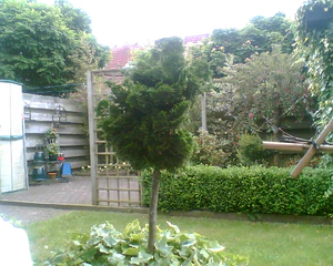 1280x1024 diverse 19