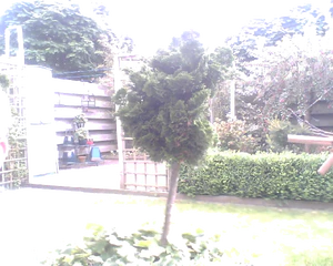 1280x1024 diverse 20