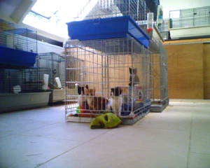 1280x1024 diversen 02