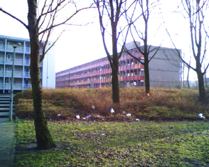 1280x1024 diversen 10