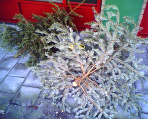 1280x1024 diversen 13