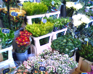 1280x1024 diversen 14